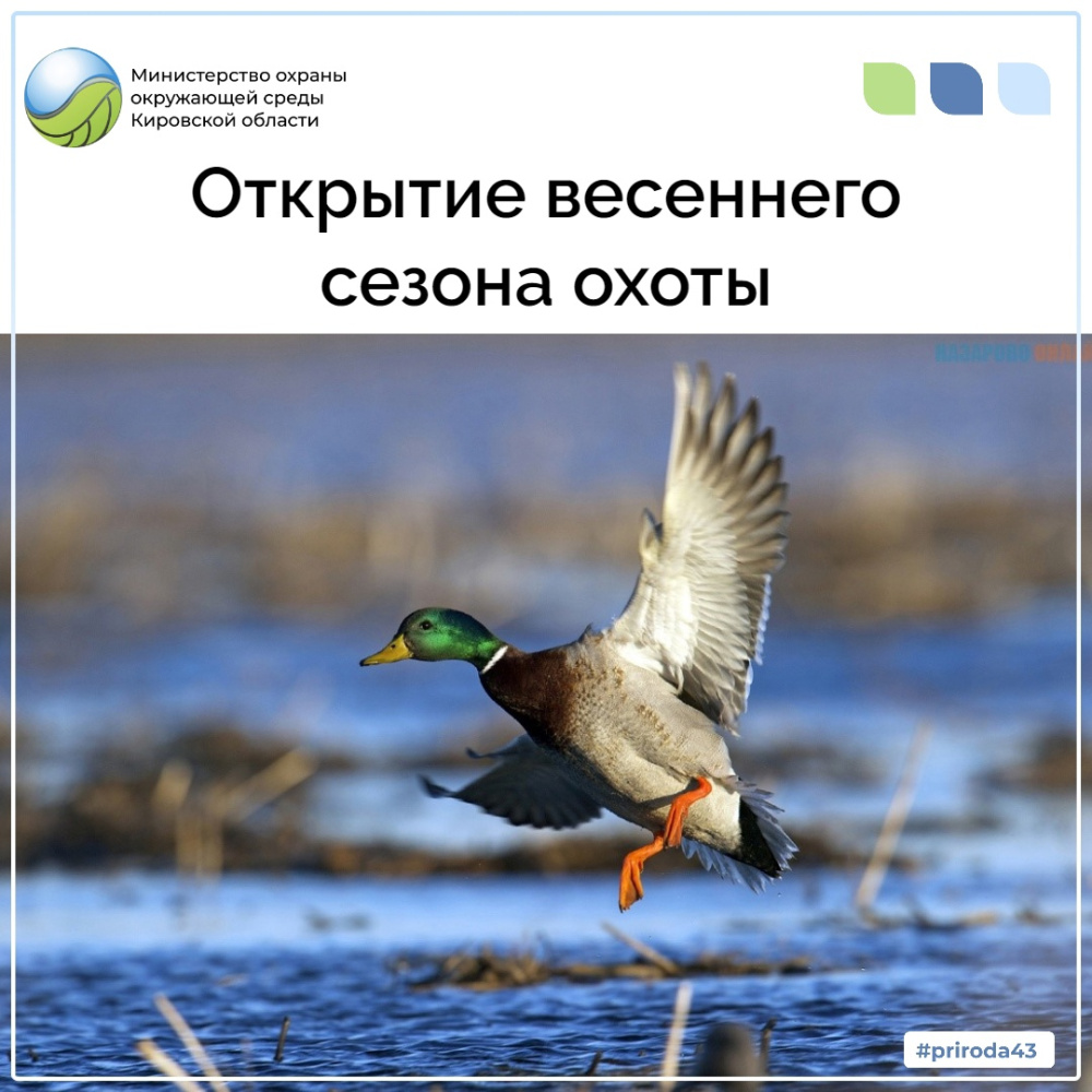 В Кировской области приближается открытие весеннего сезона охоты