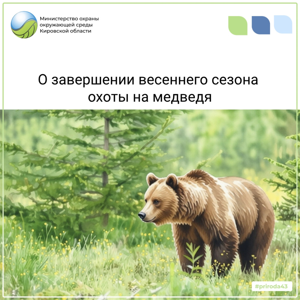 О завершении весеннего сезона охоты а медведя