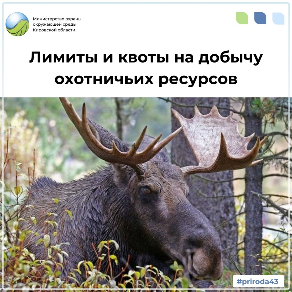 Лимиты и квоты на добычу охотничьих ресурсов