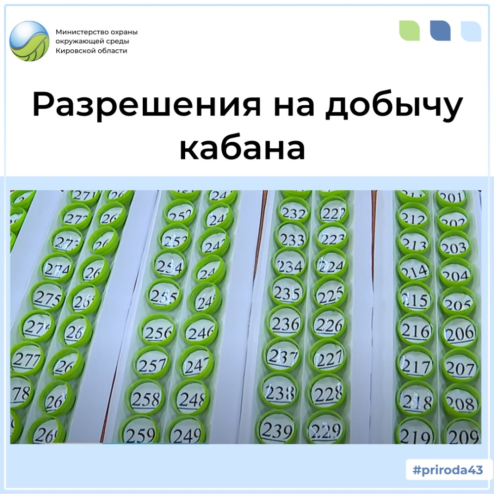 Списки лиц, участвующих в распределении разрешений на добычу кабана в ООУ Кировской области