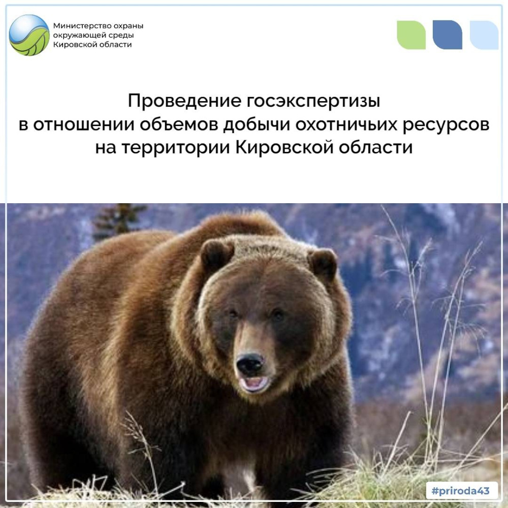 Проведение госэкспертизы в отношении объемов добычи охотничьих ресурсов на территории Кировской области