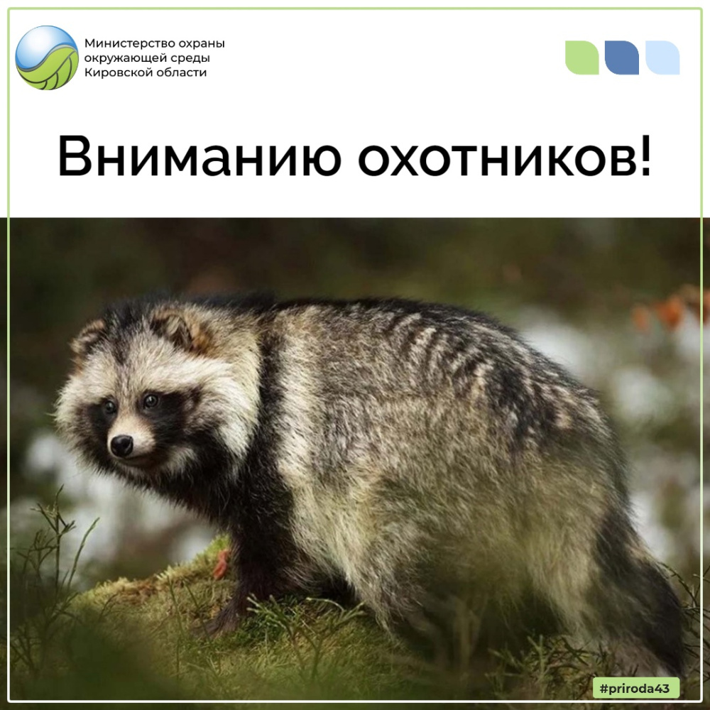 Вниманию охотников!
