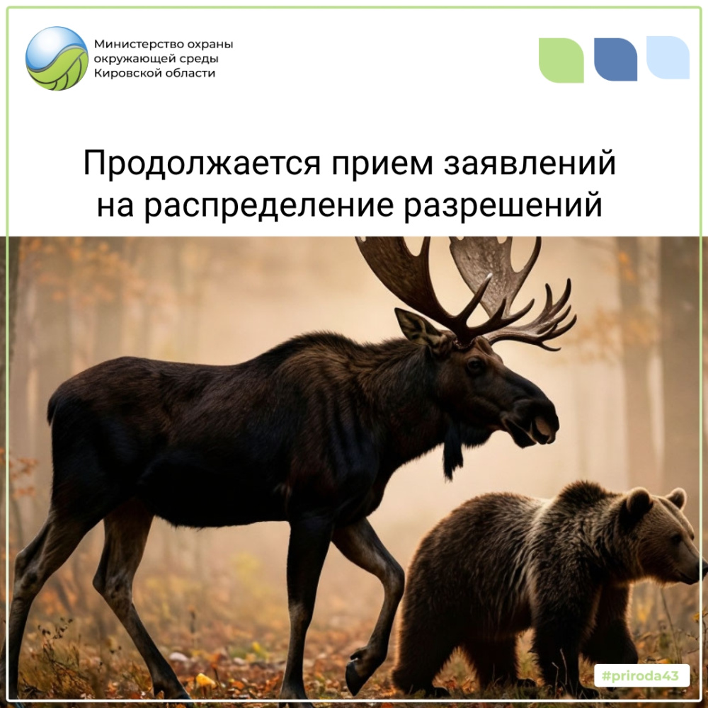 Продолжается прием заявлений на участие в распределении разрешений