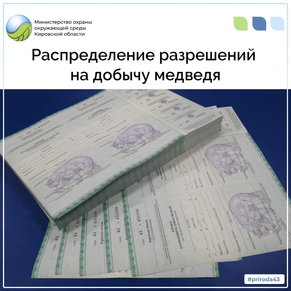 Распределение разрешений на добычу медведя