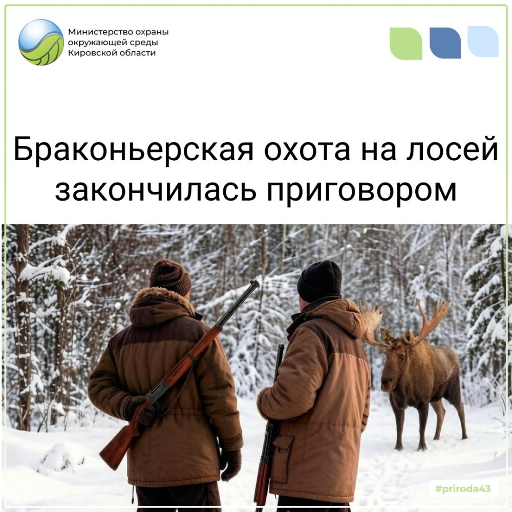За незаконный отстрел двух лосей осуждена группа браконьеров