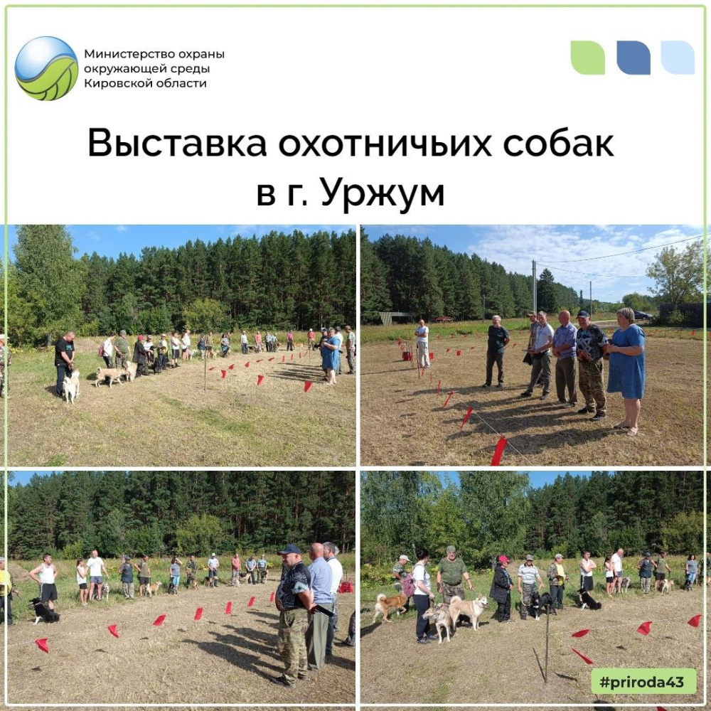 В г. Уржум состоялась межрайонная выставка охотничьих собак