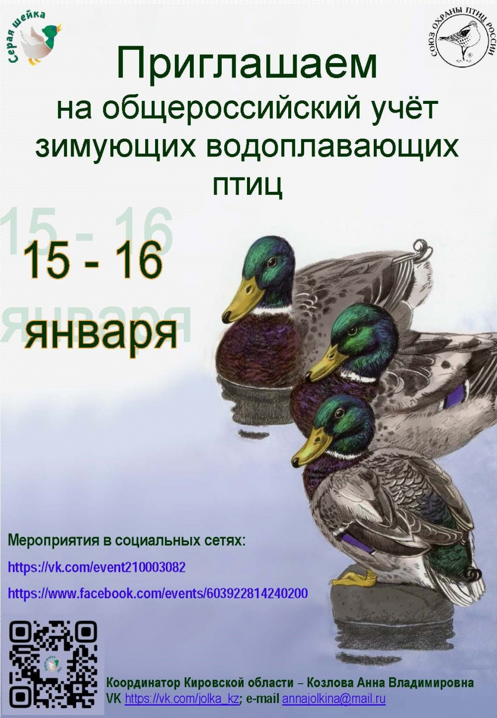 В Кировской области состоится общероссийский учёт зимующих водоплавающих птиц. Организатор акции - Союз охраны птиц России. Сроки проведения - 15-16 января 2022 года.