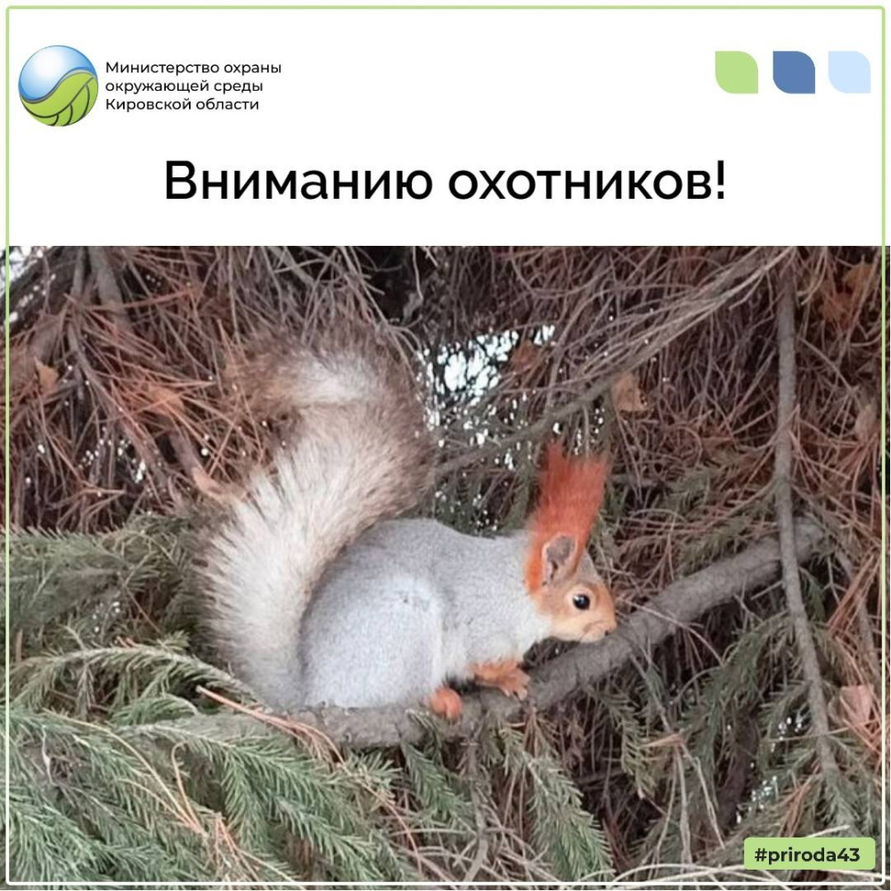 Вниманию охотников!