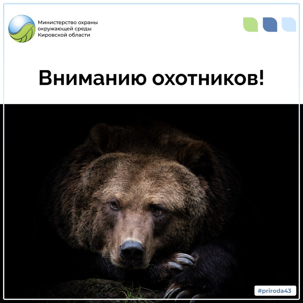 С 1 ноября установлен карантин по трихинеллёзу в Лазаревском сельском поселении Уржумского района