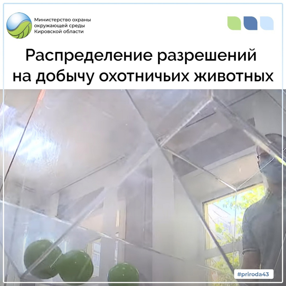 Итоги распределения разрешений на добычу лося и медведя