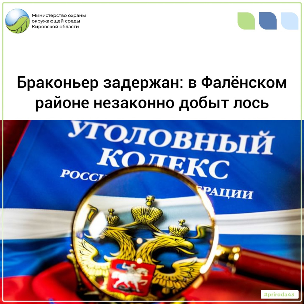 Браконьер задержан: в Фаленском районе незаконно добыт лось