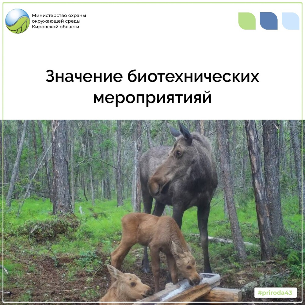 Основные виды биотехнических мероприятий и их значение