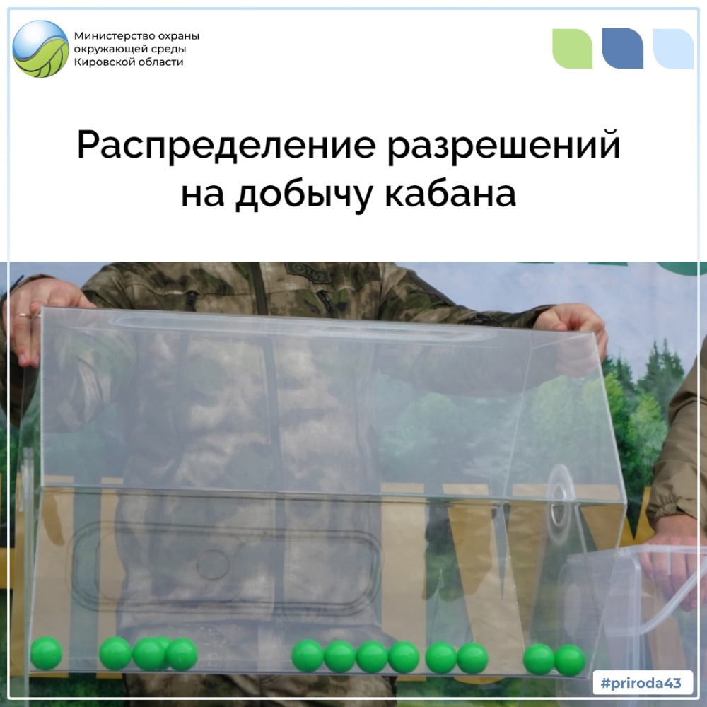 Распределение разрешений на добычу кабана 