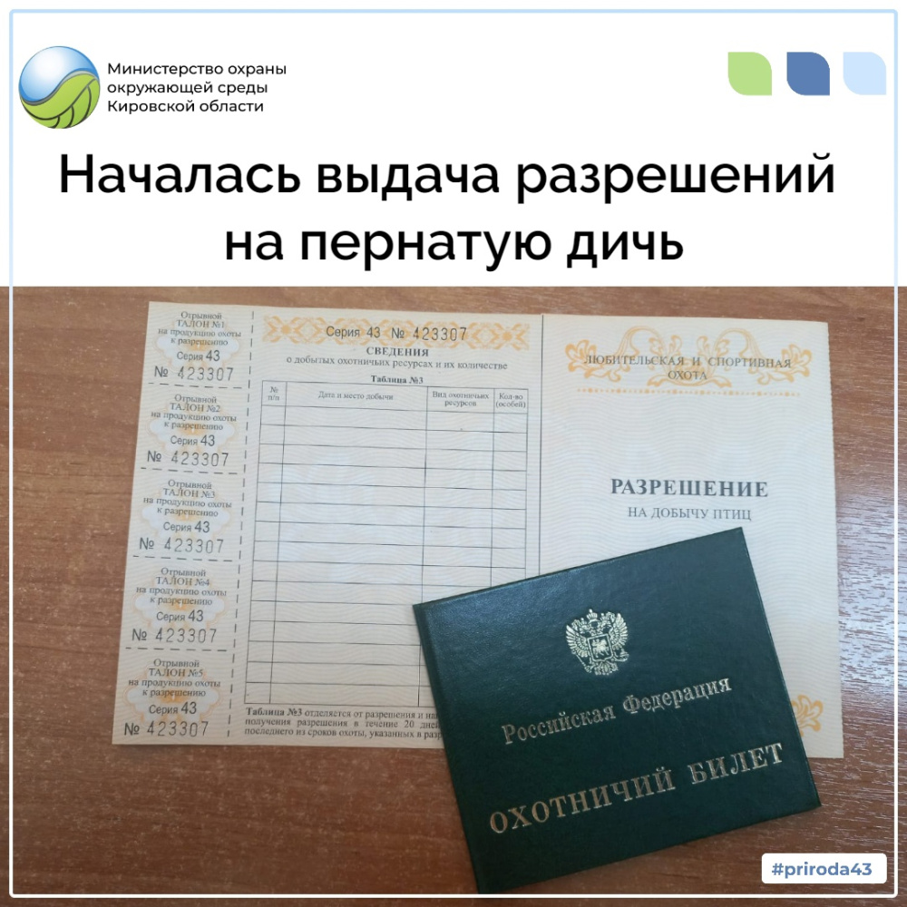 Схема предоставления информации по оказанию услуг. Выдача авто. Начало выдачи. Регистрационные услуги. Начало выдачи.