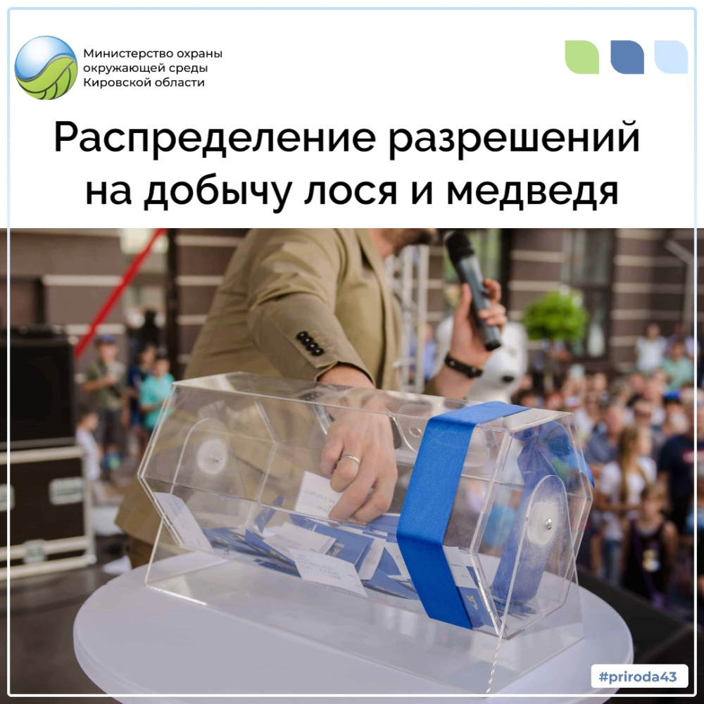 Распределение разрешений на добычу лося и медведя