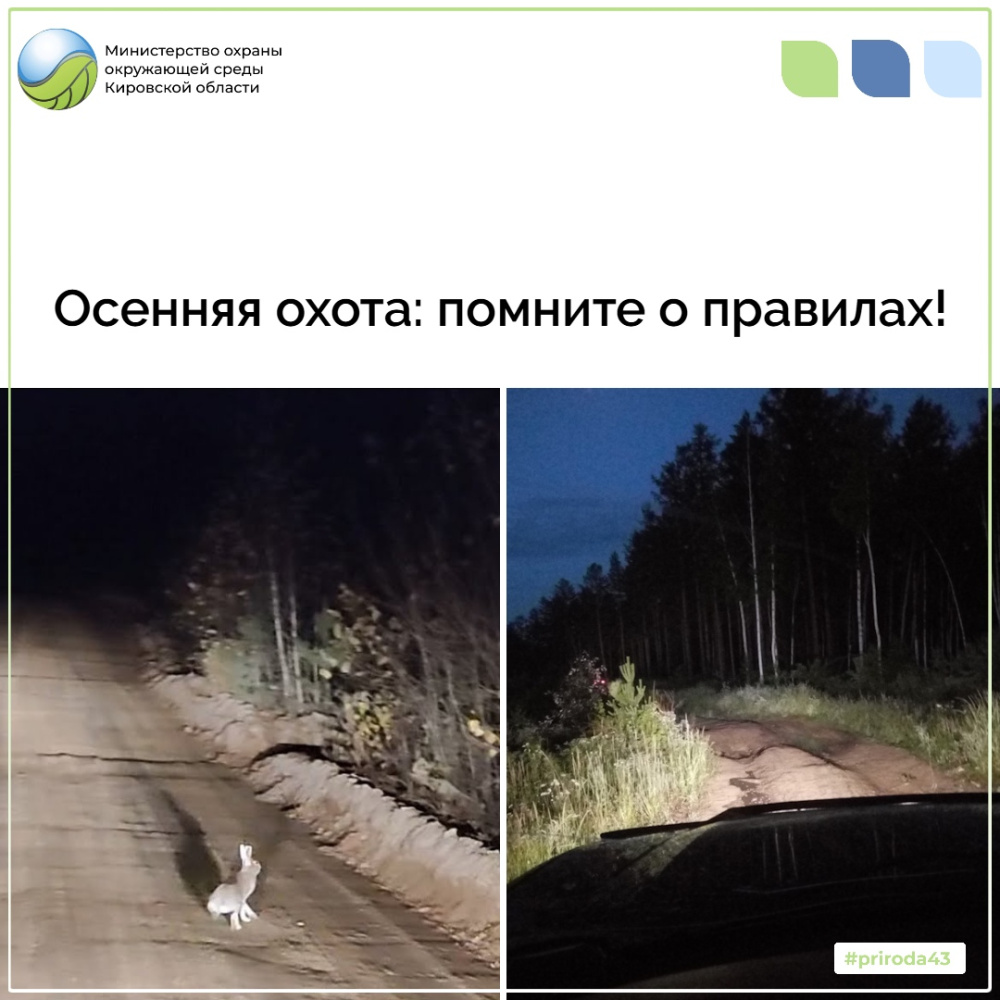 Осеняя охота: помните о правилах охоты