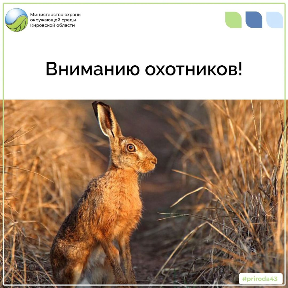 Вниманию охотников!