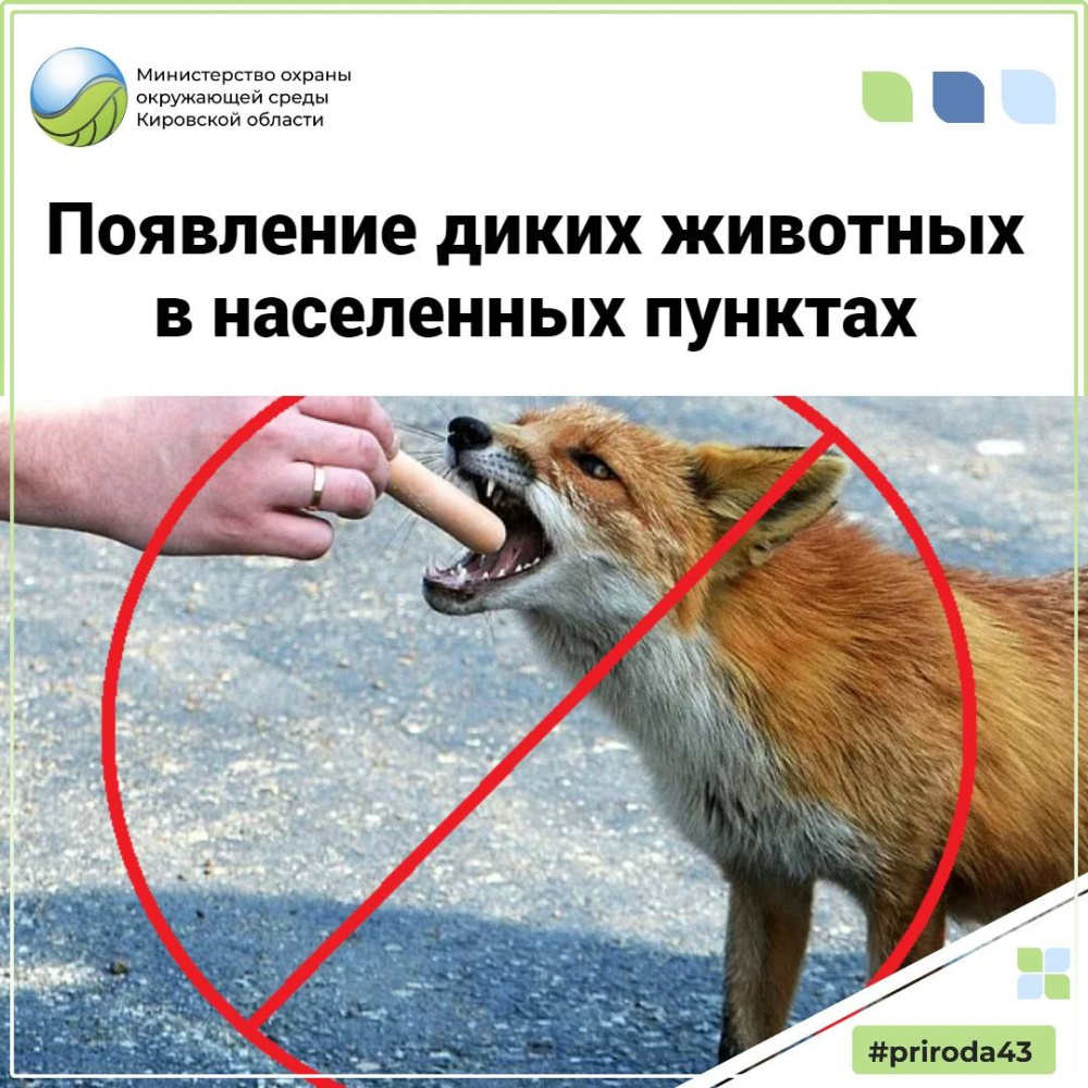 Министерство предупреждает о появлении диких животных в населенных пунктах!