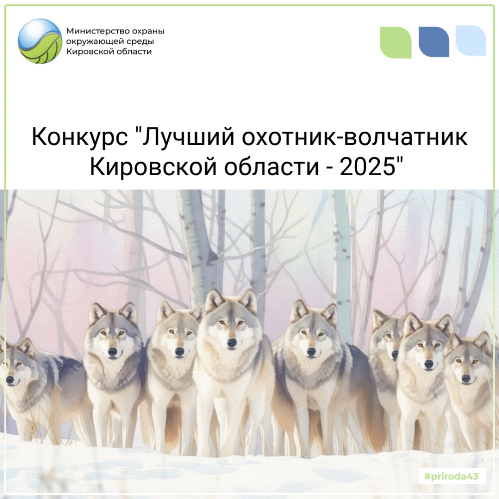 Конкурс «Лучший охотник-волчатник Кировской области 2025 года»