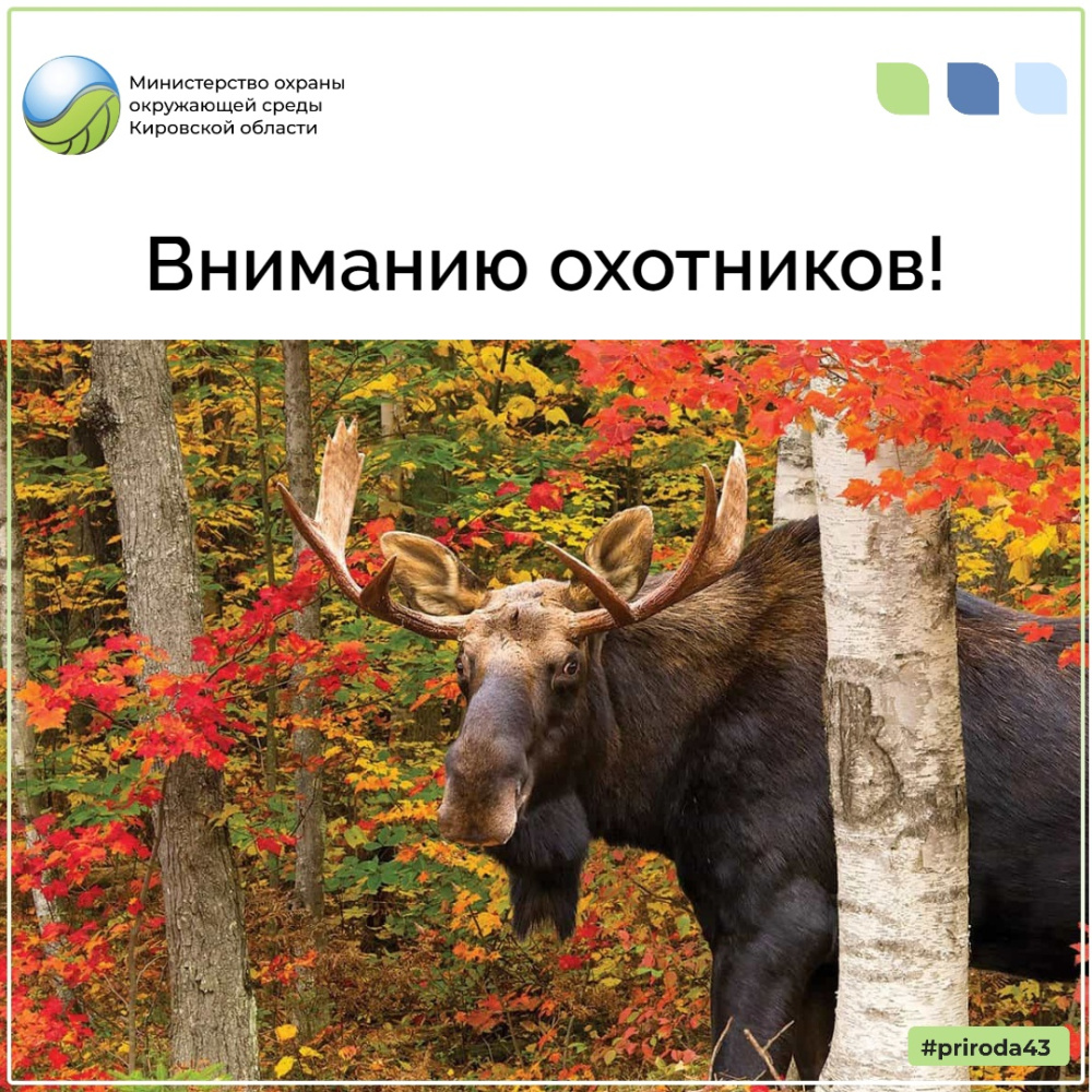 Вниманию охотников!