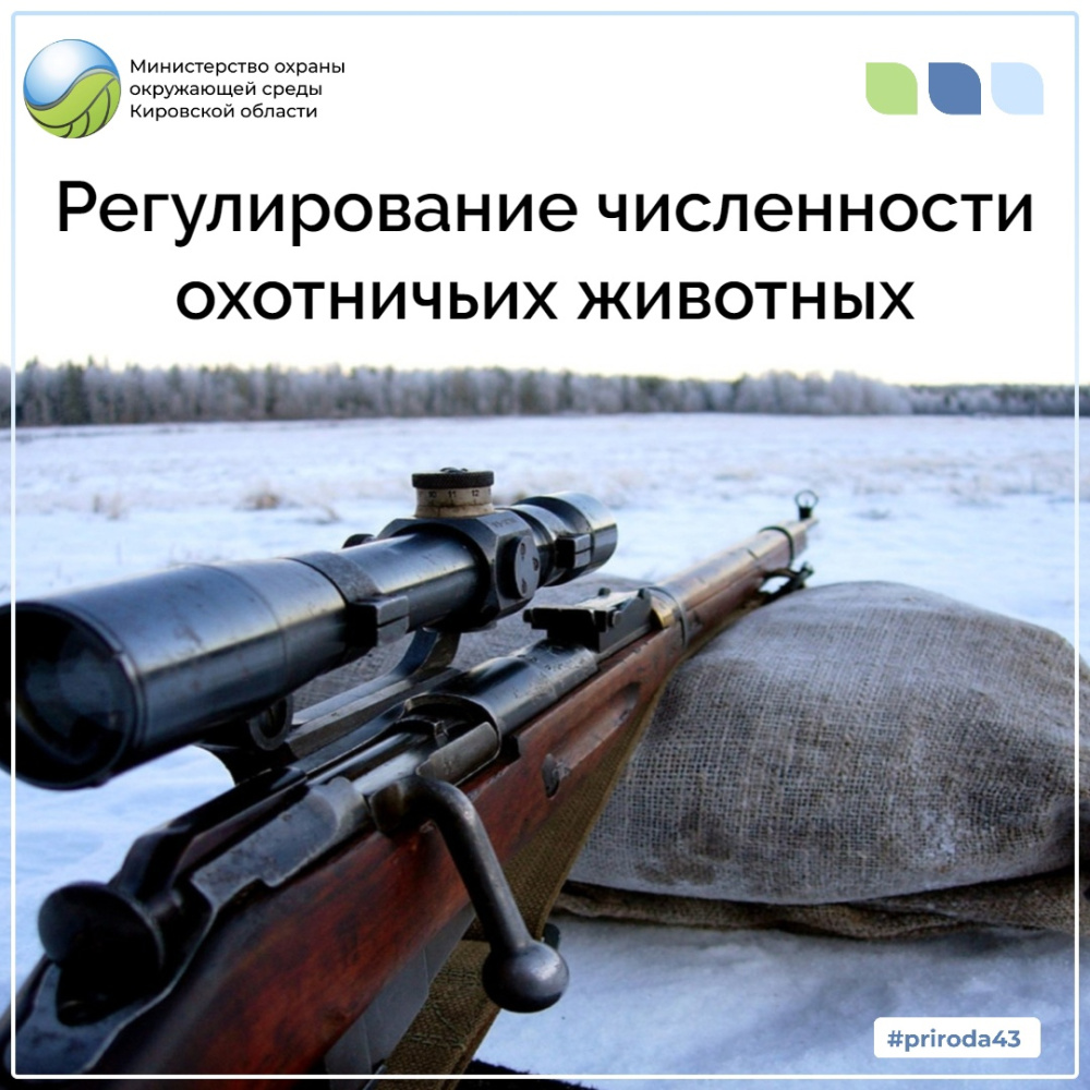 Регулирование численности охотничьих животных