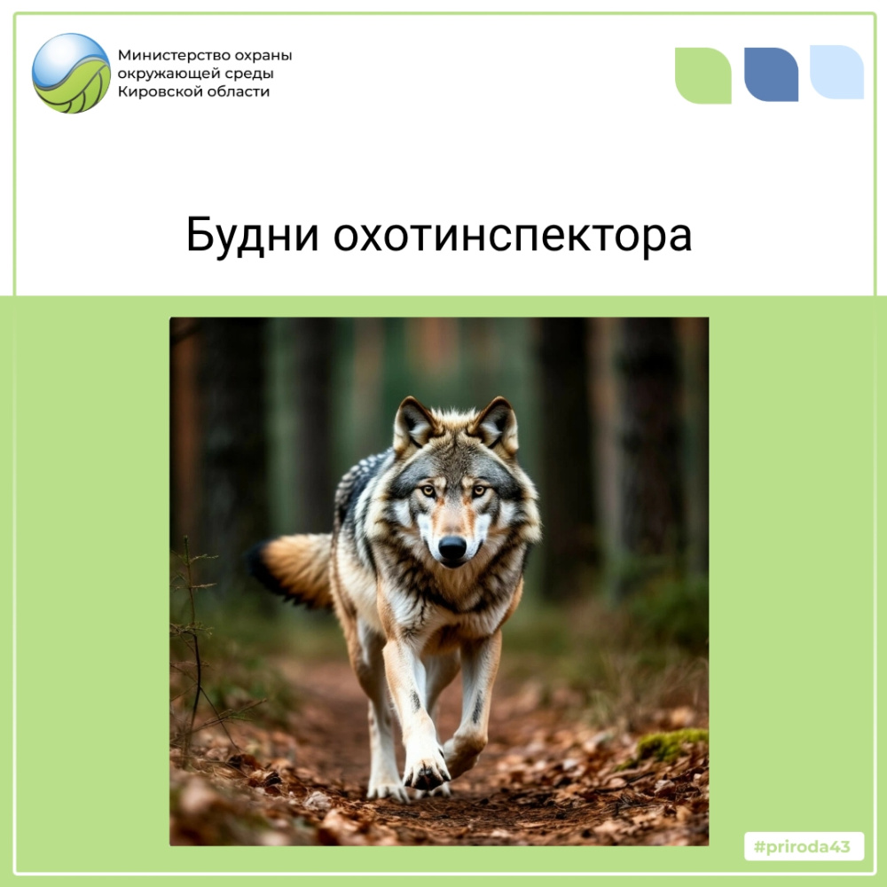 Будни охотинспектора