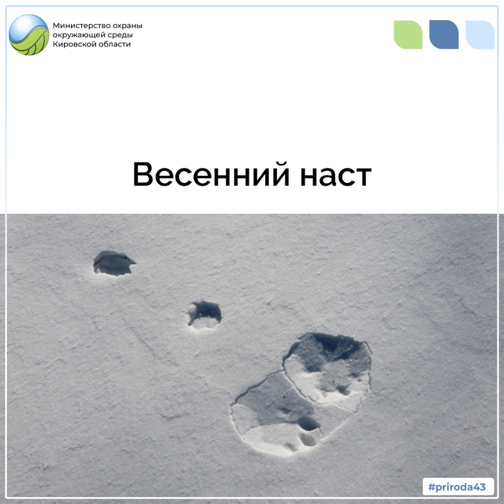 Весенний наст