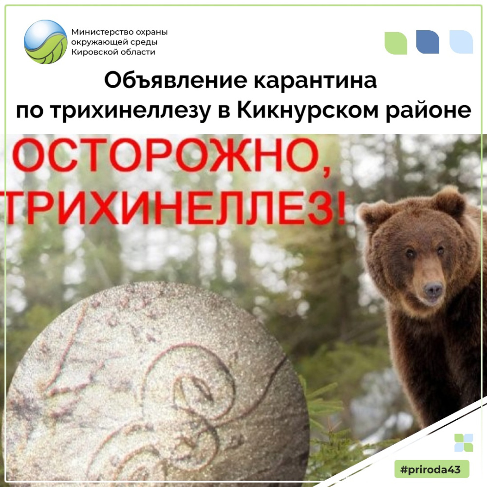 Объявление карантина по трихинеллезу в Кикнурском районе