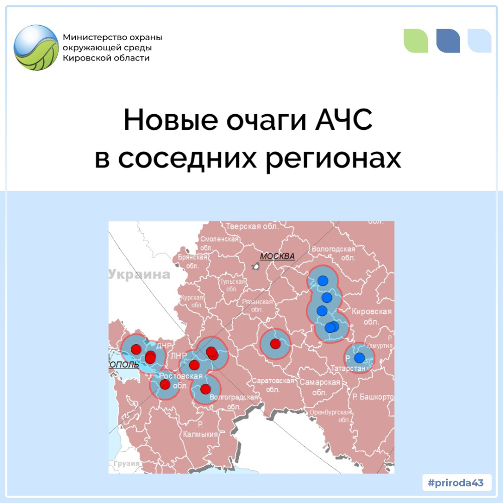 В соседних субъектах выявлены новые очаги АЧС