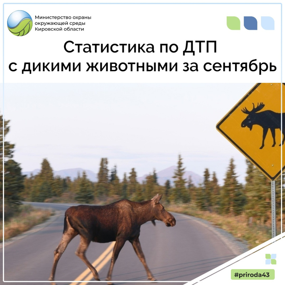 Статистика по ДТП с дикими животными за сентябрь