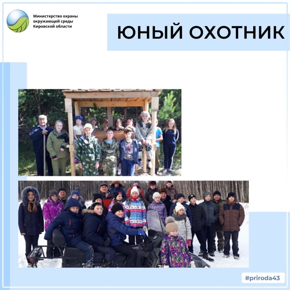 Первая ласточка