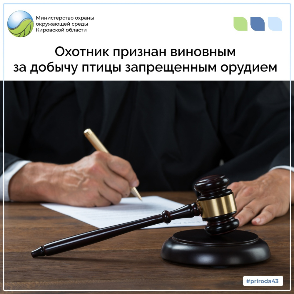 Охотник признан виновным за добычу птицы запрещенным орудием