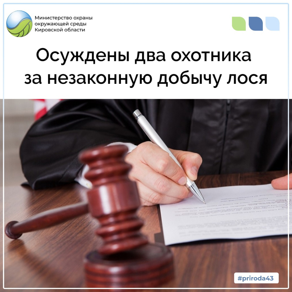 Осуждены два охотника за незаконную добычу лося 