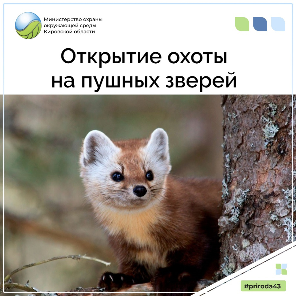 Открытие охоты на пушных зверей