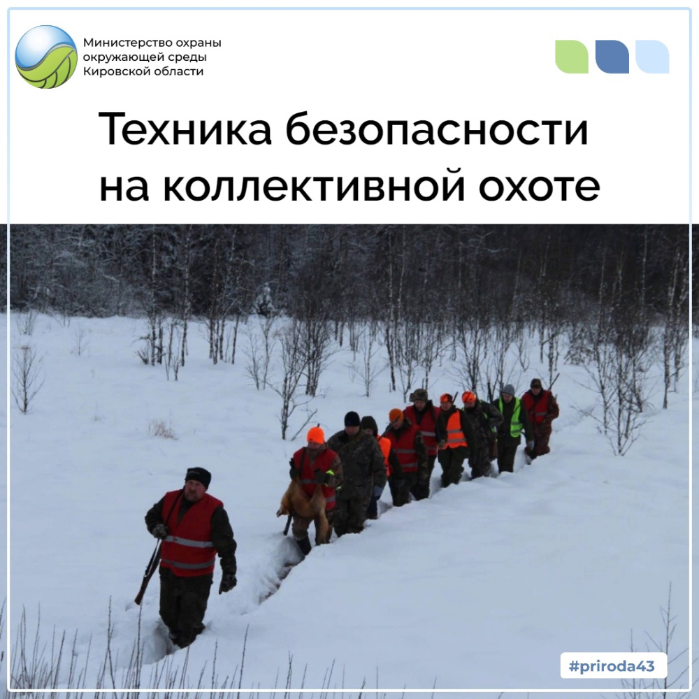 О технике безопасности на коллективных охотах