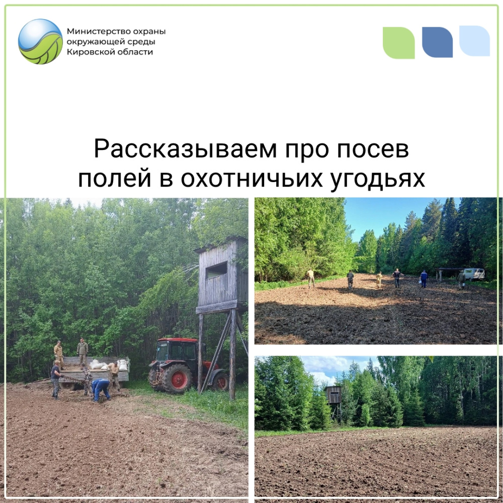 Посев полей в охотугодьях