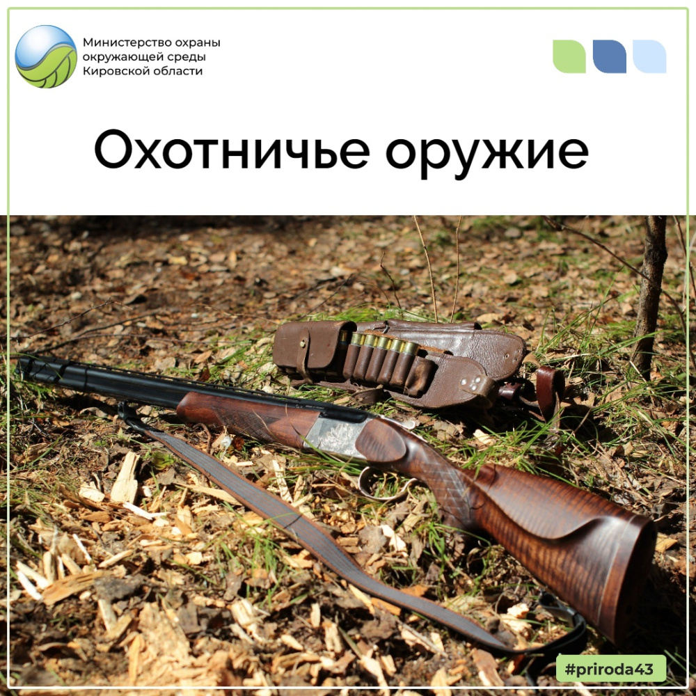 Об оружии для охоты на птиц
