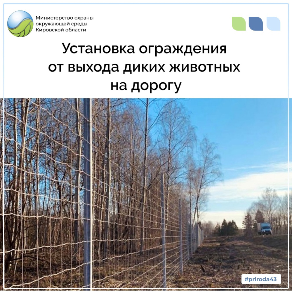 Установка ограждений от выхода диких животных на дорогу