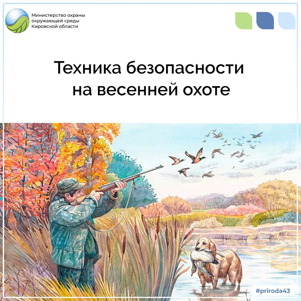 Техника безопасности на весенней охоте