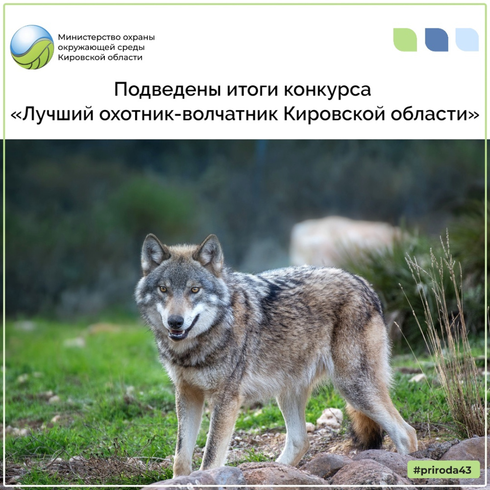 Подведены итоги конкурса «Лучший охотник-волчатник Кировской области»