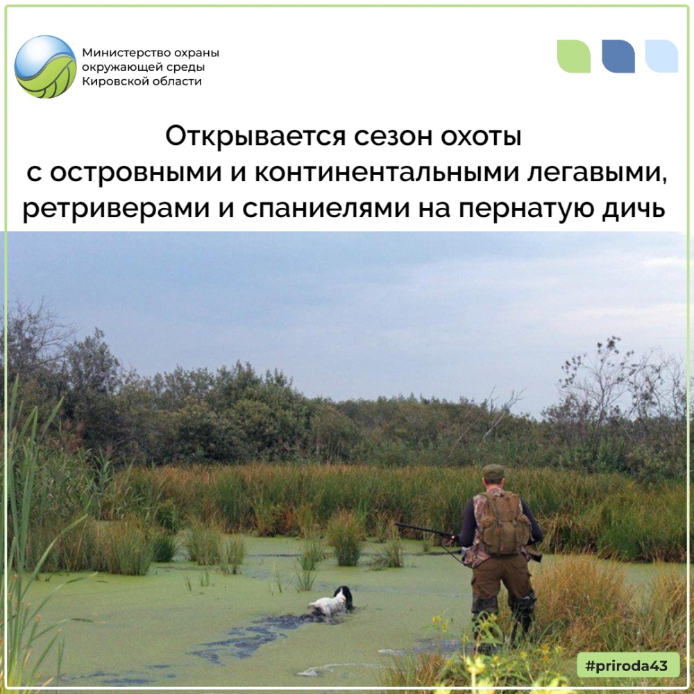 Открывается сезон охоты с островными и континентальными легавыми, ретриверами и спаниелями на пернатую дичь
