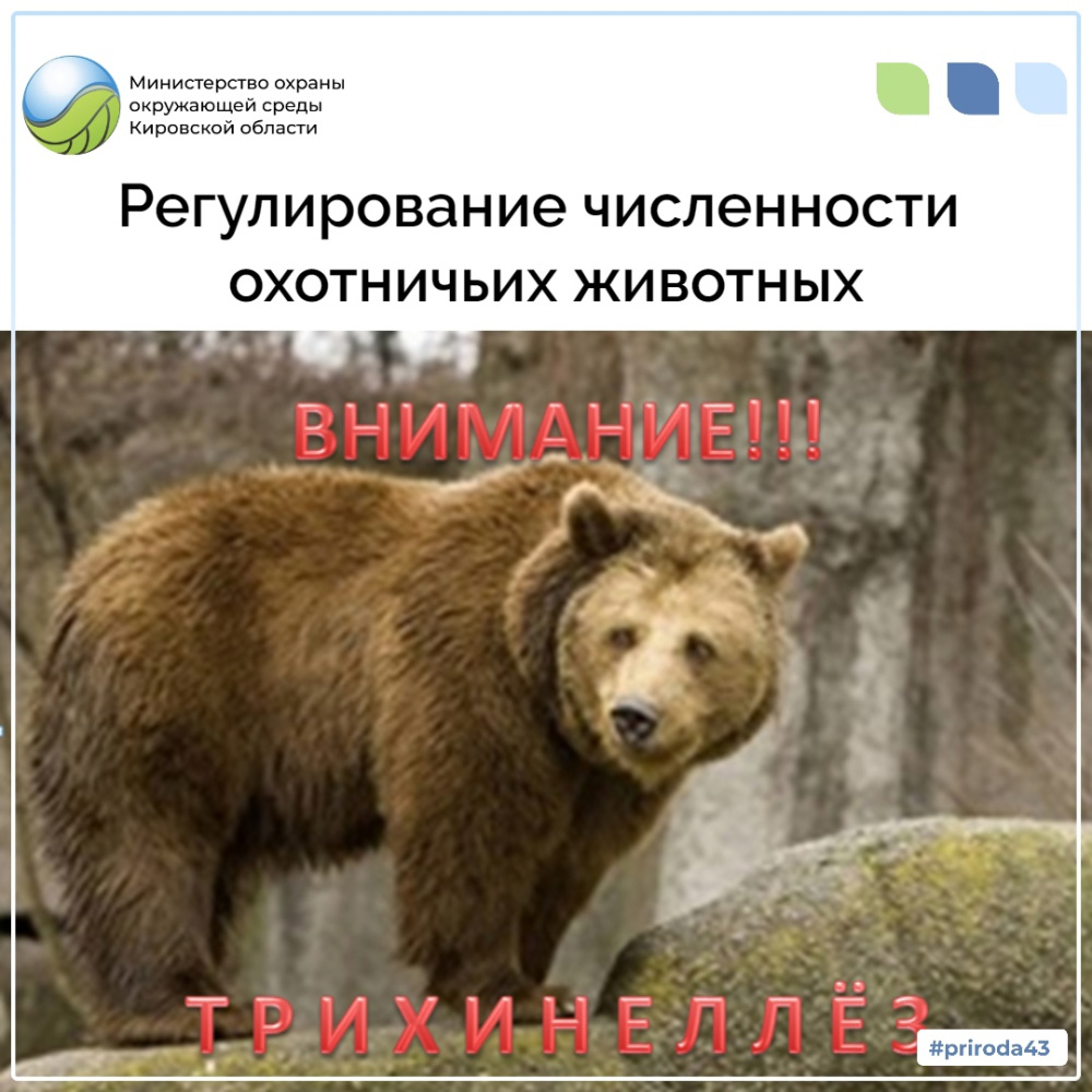 Регулирование численности охотничьих животных 