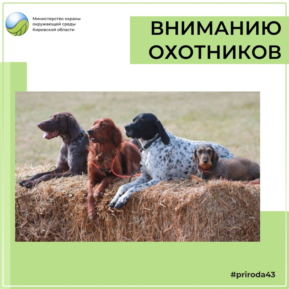 Вниманию охотников!