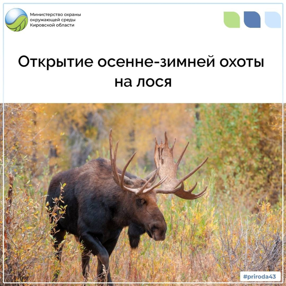 Открытие осенне-зимней охоты на лося