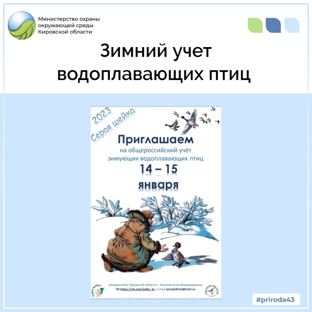 Зимний учет водоплавающих птиц 