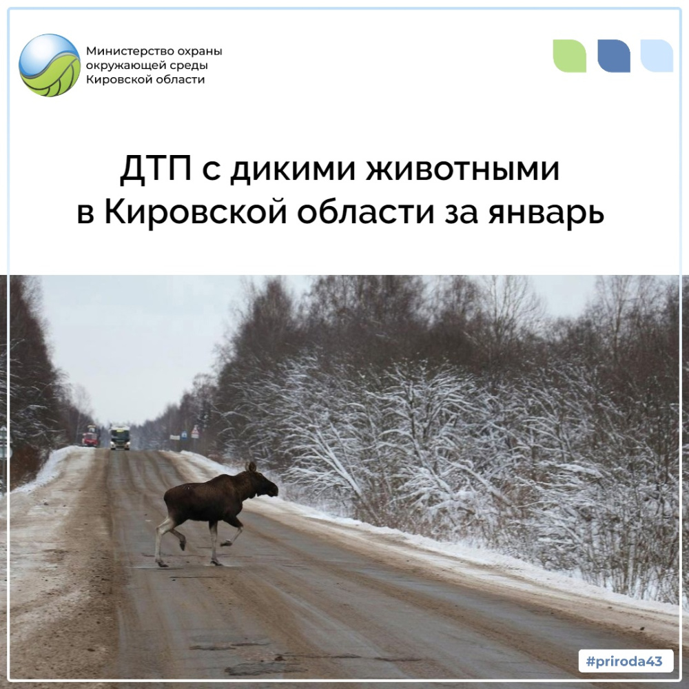 ДТП в Кировской области за январь
