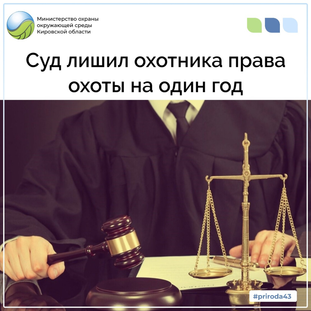 Суд лишил охотника права охоты на один год
