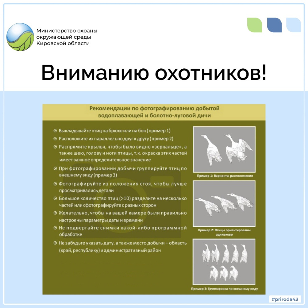 Вниманию охотников!