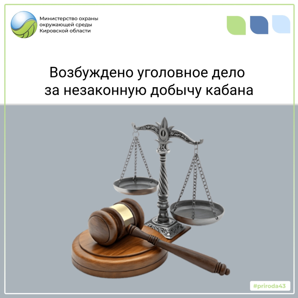 Возбуждено уголовное дело за незаконную добычу кабана