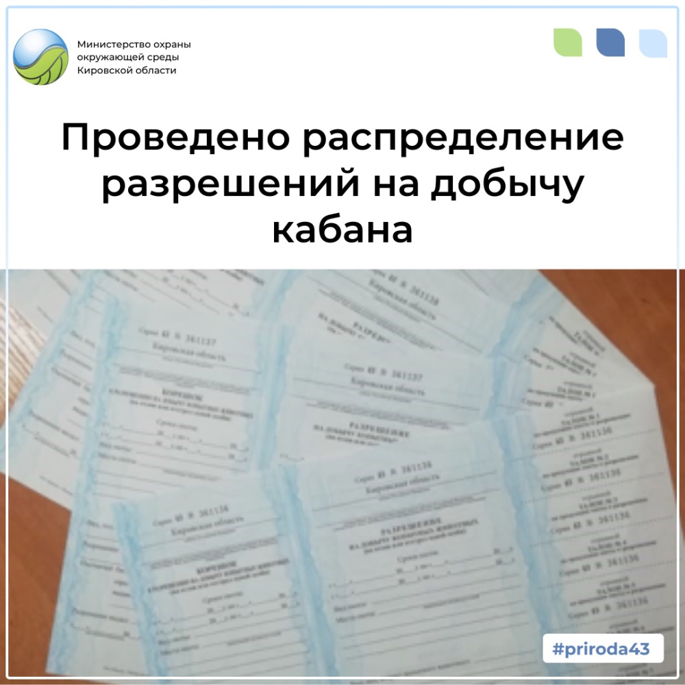 Министерством охраны окружающей среды Кировской области проведено распределение разрешений на добычу кабана в общедоступных охотничьих угодьях Кировской области